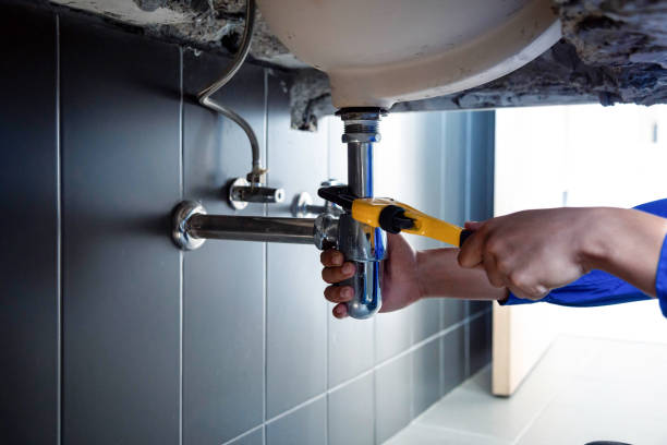 Best Plumbing Inspections & Maintenance in Mendenhall, MS